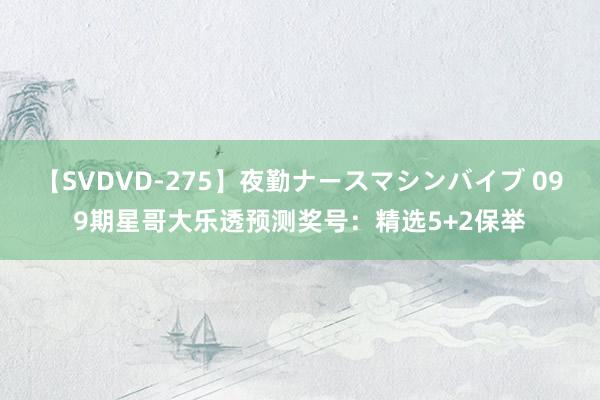 【SVDVD-275】夜勤ナースマシンバイブ 099期星哥大乐透预测奖号：精选5+2保举